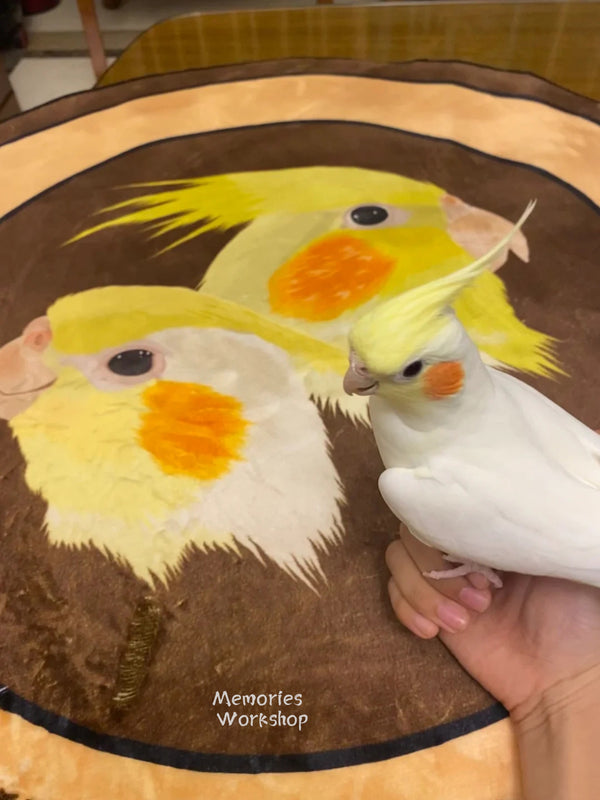 Pet customized carpet