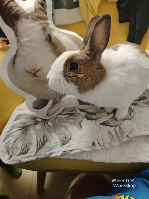 3D Pillow with Custom Pet Portrait Unique Decor