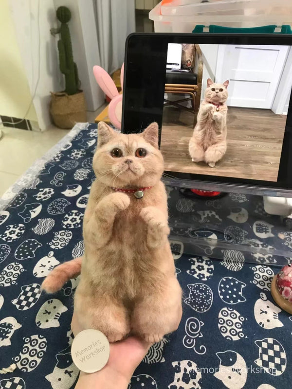 Pet whole body 3D customized simulated wool felt  [CAT]